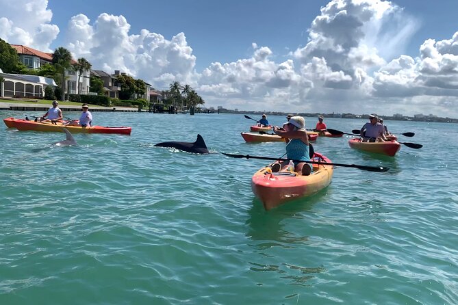 Sarasota Mangrove Tunnel Guided Kayak Adventure - Logistics that matter: where you start and how to plan your morning