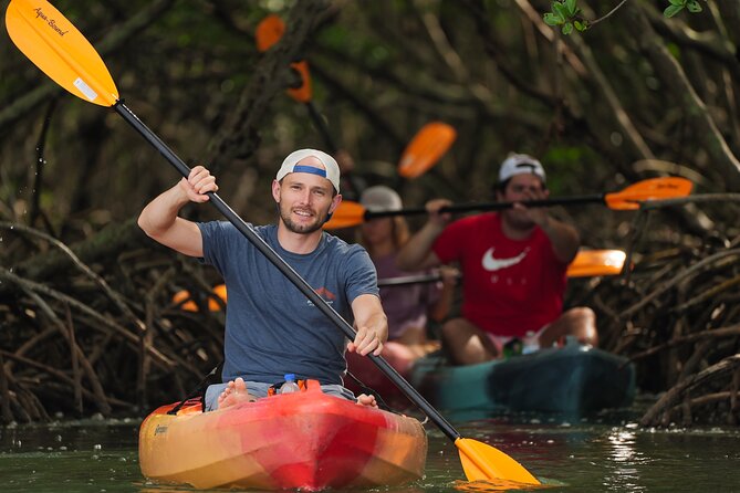 Sarasota Mangrove Tunnel Guided Kayak Adventure - Wildlife spotting in Sarasota Bay: what to watch for