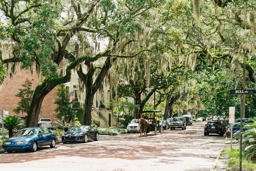 Savannah: Old Savannah Tours Historic Overview - Cobblestones, mossy oaks, and the “feel” of the streets