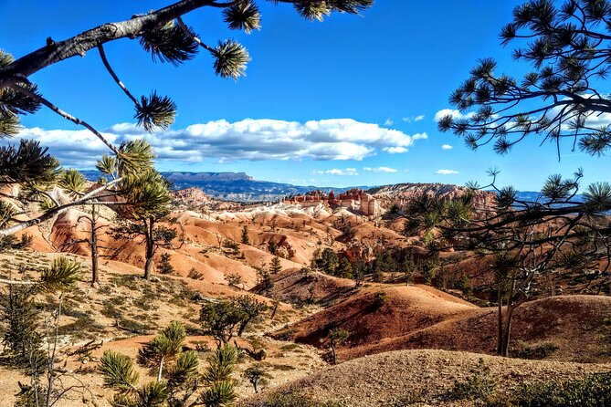 Scenic Tour of Bryce Canyon - Key Things You’ll Notice on This Bryce Canyon Tour