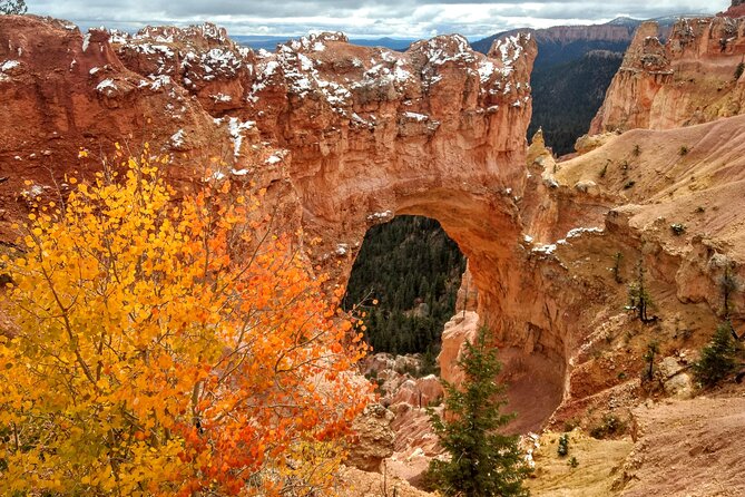 Scenic Tour of Bryce Canyon - Meeting at Bryce Canyon City and Getting Started Smoothly