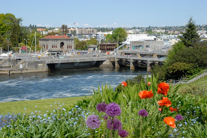 Seattle City Highlights Tour - Meeting Points, Mini Coach Comfort, and What to Expect on the Day