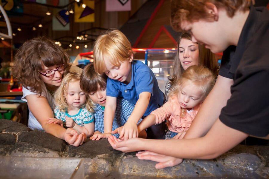 Seattle CityPASS®: Save up to 46% at 5 Top Attractions - How to choose your three optional picks without wasting a day