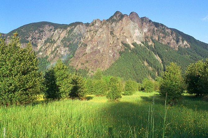Seattle Wine & Snoqualmie Falls Highlights Tour - Should You Book This Seattle Wine and Snoqualmie Falls Tour?