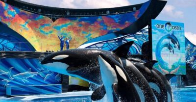 SeaWorld Orlando: Park Admission Ticket