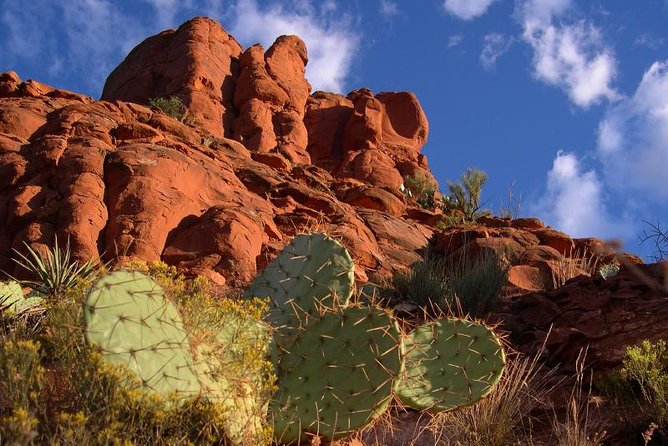 Sedona Red Rocks Outback Tour: Scenic with mild off-roading - Mild off-road, real access: what makes this tour worth your time