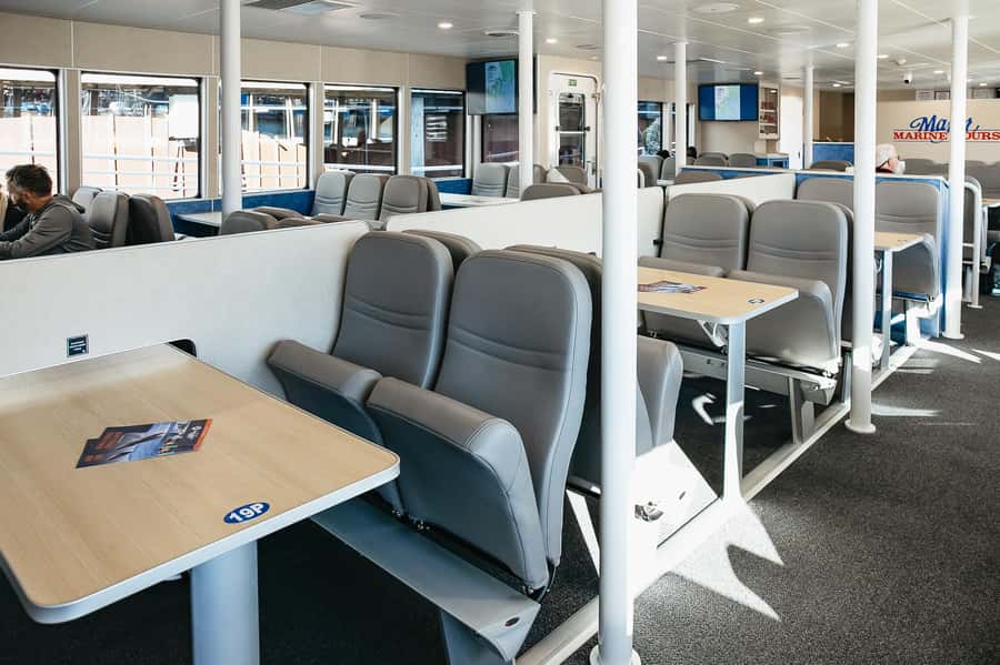 Seward: Kenai Fjords National Park Catamaran Cruise w/Lunch - Best day conditions and what can go wrong