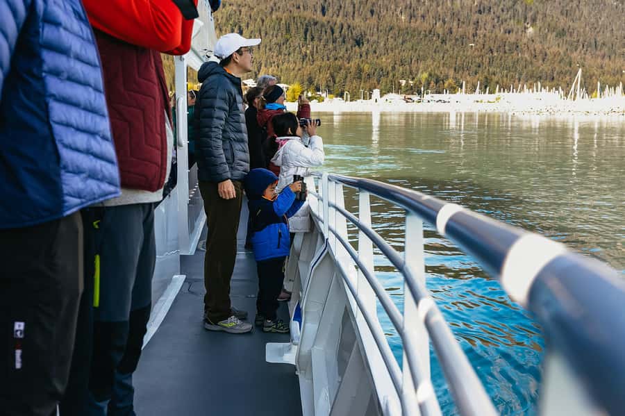 Seward: Kenai Fjords National Park Catamaran Cruise w/Lunch - The cruise route: Resurrection Bay searches that actually feel like searching