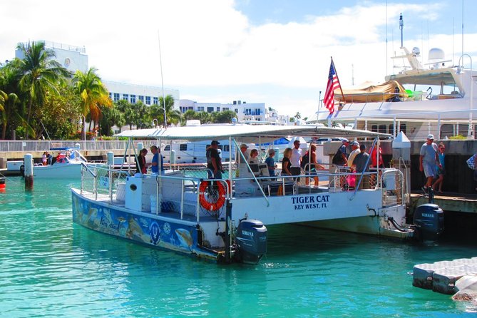 Shark and Wildlife Viewing Adventure in Key West - The offshore shift: setting up for prime shark territory