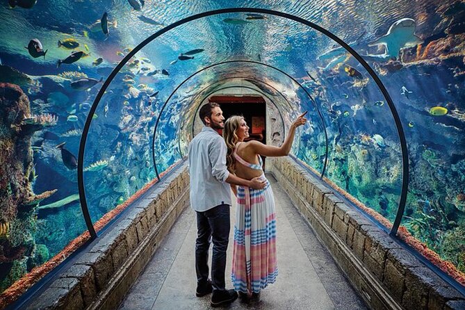 Shark Reef at Mandalay Bay Hotel and Casino - Price, Timing, and Value: What $29.75 Buys You in Real World Time