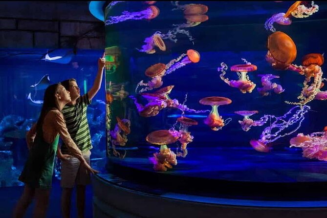 Shark Reef at Mandalay Bay Hotel and Casino - The Shipwreck Main Tank and the 14 Exhibits: Where the Sharks Concentrate