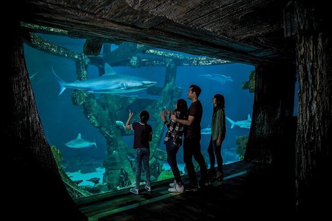 Shark Reef at Mandalay Bay Hotel and Casino - A Practical 1 to 2 Hour Game Plan That Fits Real Vegas Days