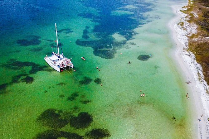 Shell Island Snorkel and Dolphin Catamaran Cruise with Island Time - Key things to know before you go
