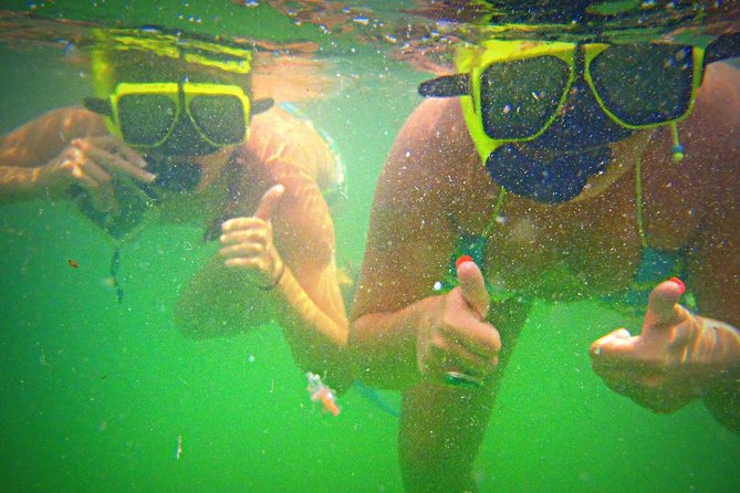 Shell Island Snorkel and Dolphin Catamaran Cruise with Island Time - Shell Island stop: beach time, shells, sand dollars, and a lot of “walk and play”