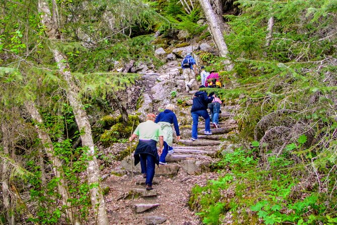 Skagway Shore Excursion Chilkoot Trail Hike and Float Tour - A smart Skagway mix: rainforest hike, then an easy float