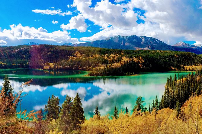 Skagway Shore Excursion: Full-Day Tour of the Yukon - Key takeaways before you go
