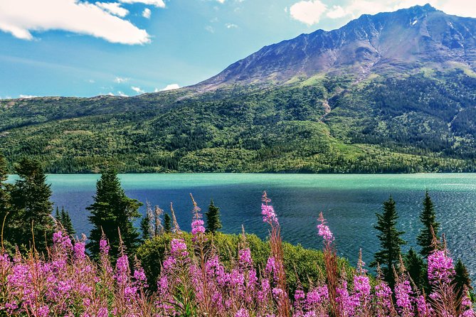 Skagway Shore Excursion: Full-Day Tour of the Yukon - Why This Skagway to Yukon Day Trip Feels Like a Real Adventure