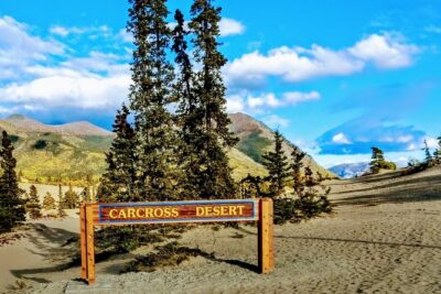 Skagway Shore Excursion: Full-Day Tour of the Yukon