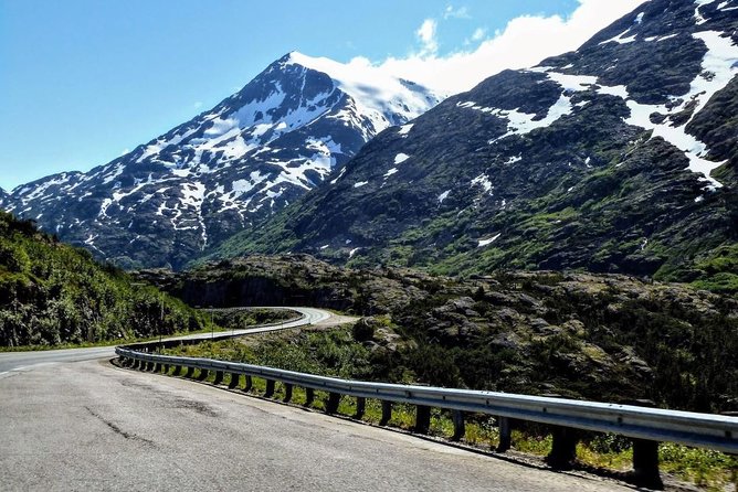 Skagway Shore Excursion: Half-Day Tour to the Yukon Border and Suspension Bridge - White Pass Summit and Tormented Valley, 3,292 feet of big views