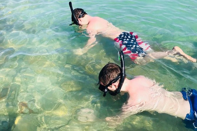 Small Group 2 Hour Dolphin Cruise with Snorkeling to Shell Key - Where this cruise actually shines in Tampa Bay