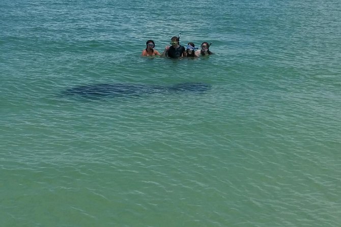 Small Group 2 Hour Dolphin Cruise with Snorkeling to Shell Key - Snorkeling reality check: what you’re most likely to get