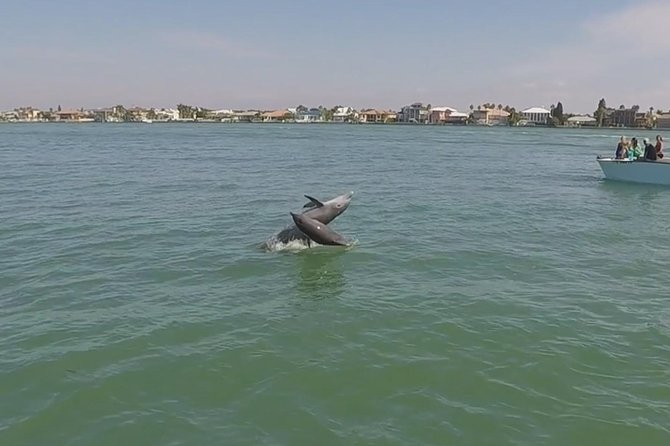 Small Group 2 Hour Dolphin Cruise with Snorkeling to Shell Key - Guides who actually make the day feel personal