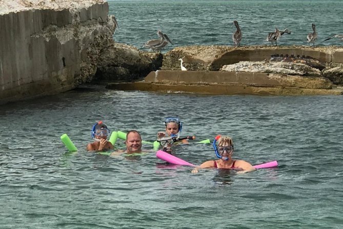 Small Group 2 Hour Dolphin Cruise with Snorkeling to Shell Key - Boat comfort and the small-group advantage
