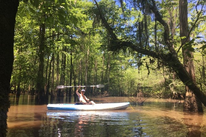 Small-Group Manchac Swamp Kayak Tour - Why This Swamp Kayak Feels Like a Real Bayou Day