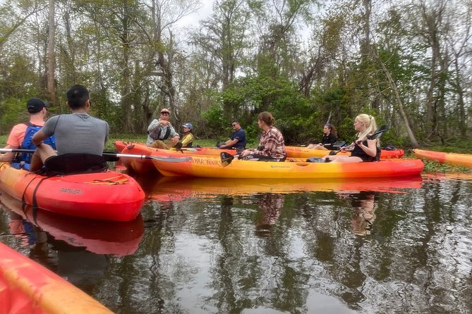 Small-Group Manchac Swamp Kayak Tour - Your Time on the Water: Manchac and Maurepas Swamp Routes