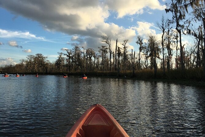 Small-Group Manchac Swamp Kayak Tour - Comfort and Pace: What to Plan for Before You Arrive