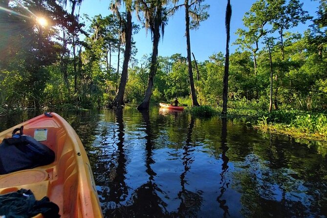 Small-Group Manchac Swamp Kayak Tour - Time in the Swamp vs. Time in New Orleans