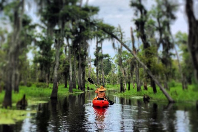 Small-Group Manchac Swamp Kayak Tour - Getting Out of the City: Pickup and the Ride From 740 N Rampart