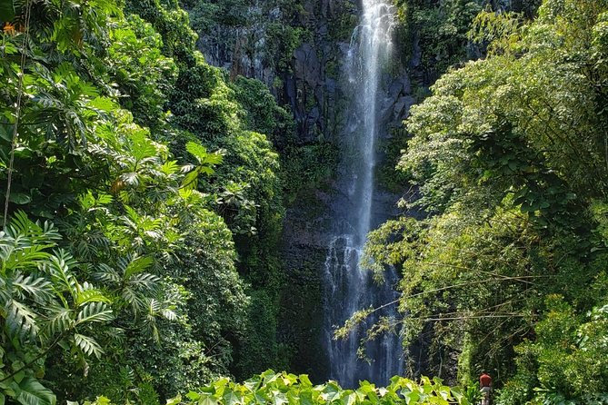 Small-Group Road to Hana Adventure Tour with Pickup & Lunch - Key highlights you should actually care about
