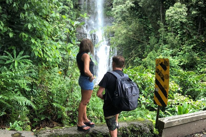 Small-Group Road to Hana Adventure Tour with Pickup & Lunch - Bamboo forest along the highway: small stop, big payoff