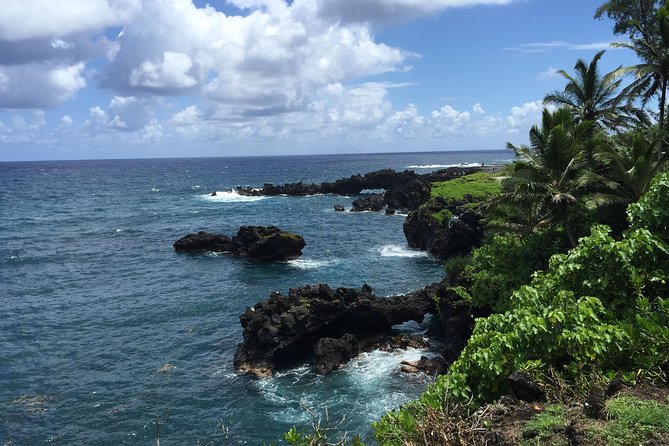 Small-Group Road to Hana Adventure Tour with Pickup & Lunch - Hookipa Beach Park: turtles, surfers, and wind-driven chaos
