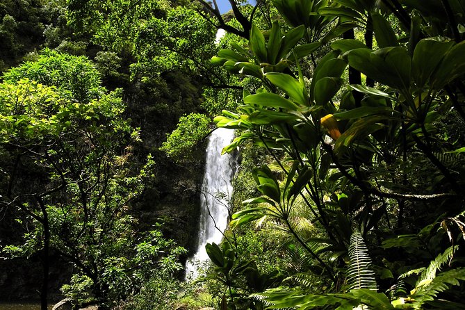 Small-Group Road to Hana Luxury Tour - Stop 3: Ke‘anae Point for taro fields and jagged lava coast