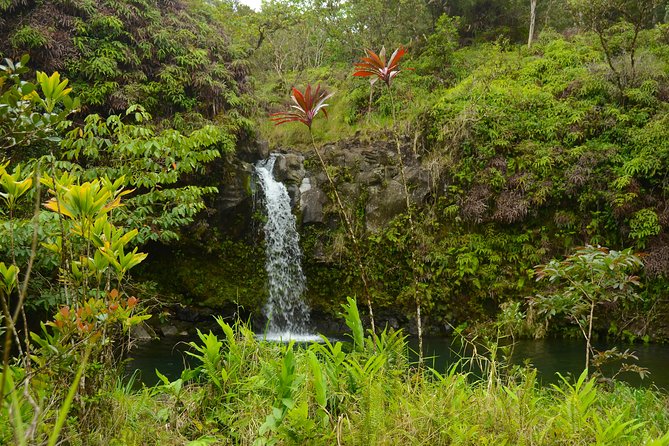 Small-Group Road to Hana Luxury Tour - Stop 4: Waianapanapa State Park for black sand, lava features, and beach time