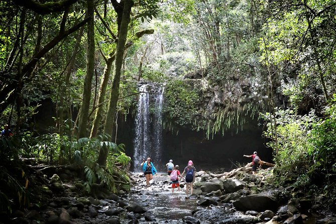 Small Group Waterfall and Rainforest Hiking Adventure on Maui - Road to Hana, then straight into the rainforest
