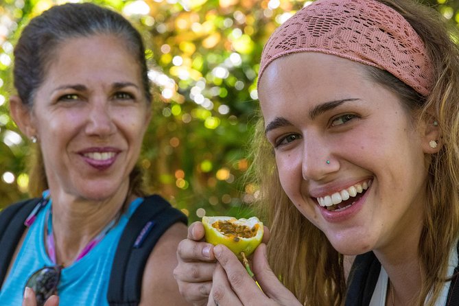 Small Group Waterfall and Rainforest Hiking Adventure on Maui - Lunch and snacks: why included food changes the day