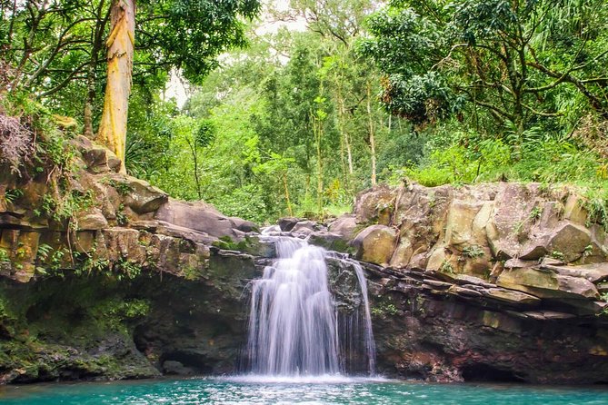 Small Group Waterfall and Rainforest Hiking Adventure on Maui - Cliff jumping choices, and how guides keep it fun