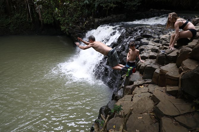Small Group Waterfall and Rainforest Hiking Adventure on Maui - Group size and pacing: why it matters on a slippery trail