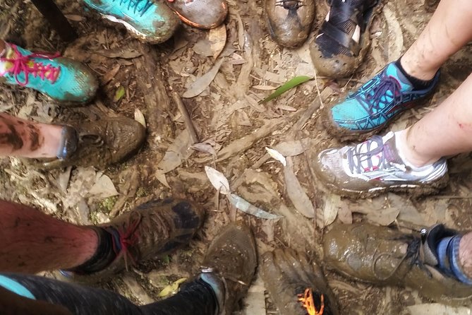 Small Group Waterfall and Rainforest Hiking Adventure on Maui - How the hike actually feels under your feet