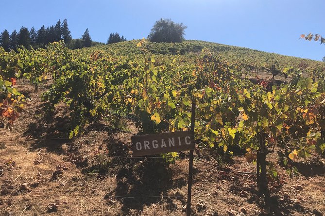 Small-Group Wine Country Tour from San Francisco with Tastings - Price and value: how $179 makes sense if you price it out