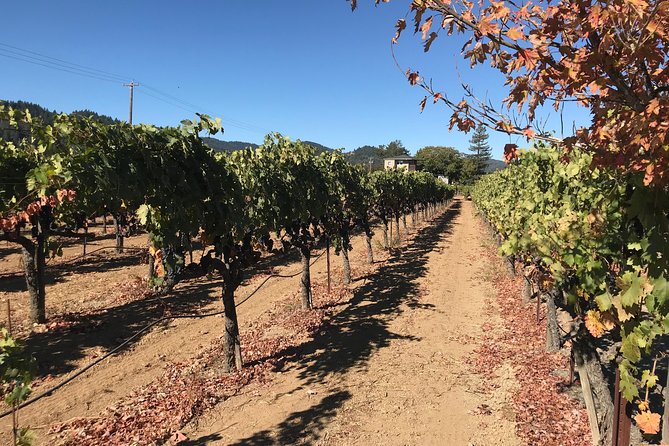 Small-Group Wine Country Tour from San Francisco with Tastings - What kind of person will love this tour most