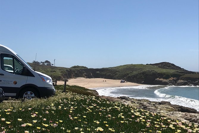 Small-Group Wine Country Tour from San Francisco with Tastings - Small-group van day: why the max of 13 matters more than it sounds