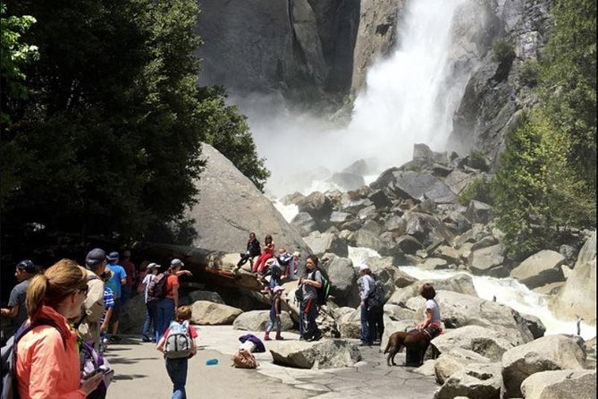 Small Group Yosemite and Giant Sequoias Day Trip from San Francisco - Tunnel View and Bridalveil Fall: the classic photos, done efficiently