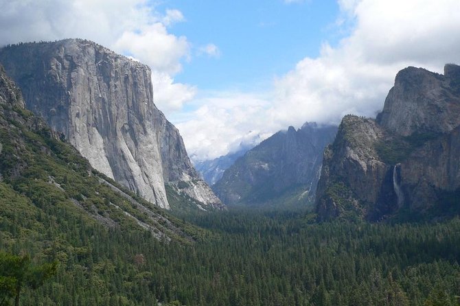 Small Group Yosemite and Giant Sequoias Day Trip from San Francisco - Tuolumne Grove of Giant Sequoias: where the scale hits first