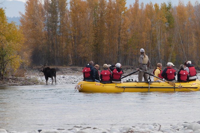 Snake River Scenic Float Trip with Teton Views in Jackson Hole - The guides are the whole point: steering, safety, and calm narration