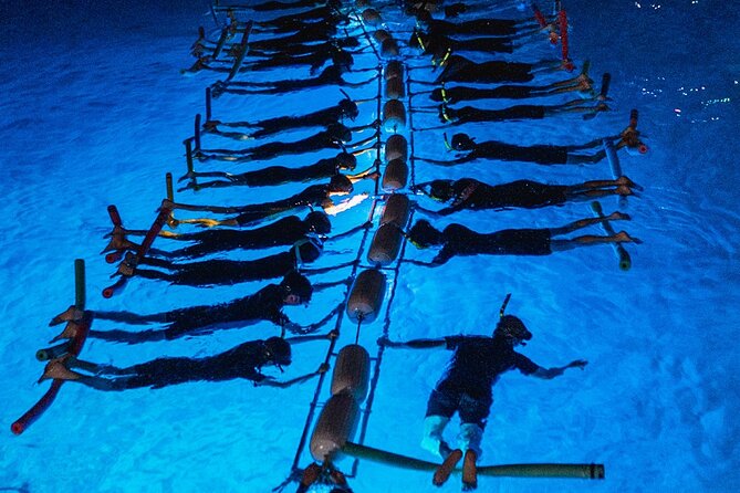 Snorkel with Manta Rays Guaranteed - The 45 minutes with the lit float: what actually happens in the water