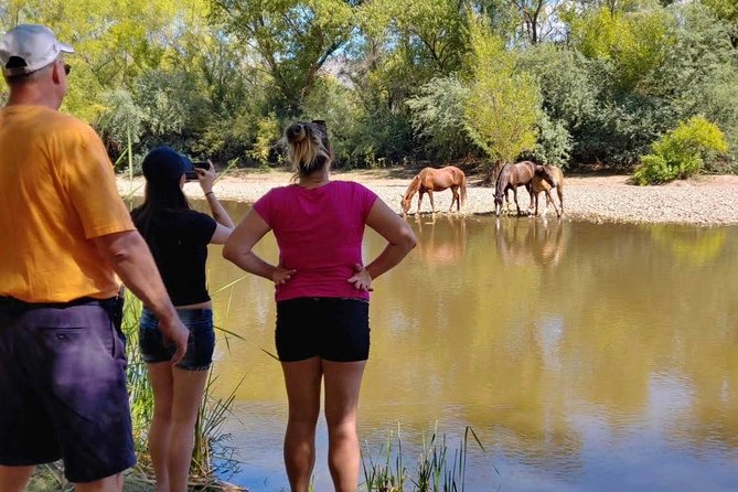 Sonoran Desert Jeep Tour - Guides make the difference: what the best ones do